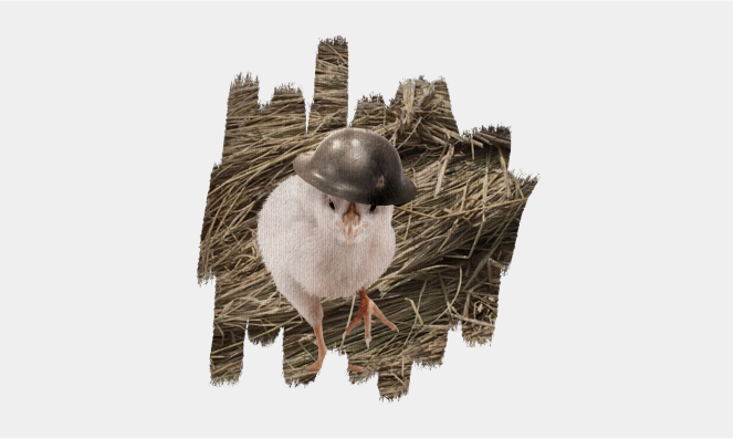 Pink Floyd Illustrations