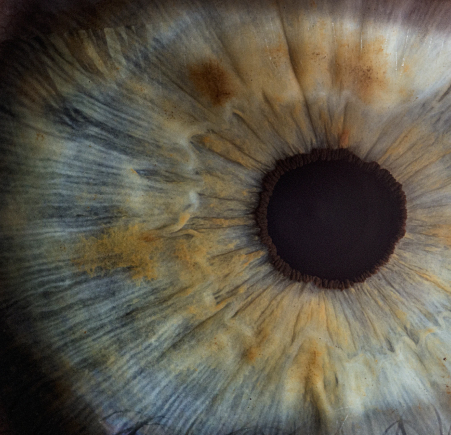 Miniver Logo Variation